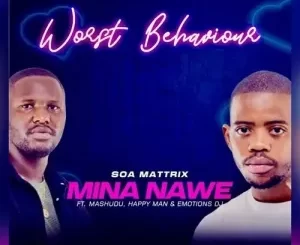 Worst Behaviour – Mina Nawe (Bootleg)