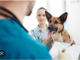 how does dog health insurance work