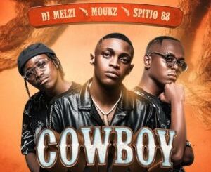 ALBUM: DJ Melzi, Moukz & Spitjo88 – Cowboy