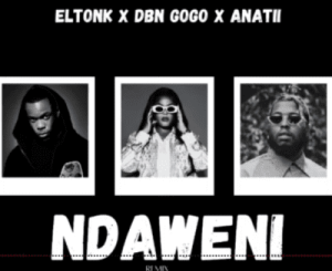 Eltonk, DBN Gogo & Anatii – Ndaweni (Remix)