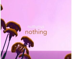 Nutty Nys – Nothing