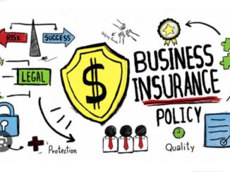 Protecting Your Small Business: The Importance of Small Business Insurance