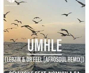 Semitone, Nomvula SA – Umhle (Lebzin & Dr Feel AfroSoul Remix) (Radio Edit)