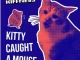 The Kiffness – Kitty Caught A Mouse