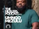 UMngomezulu – The Healers Podcast Show 004