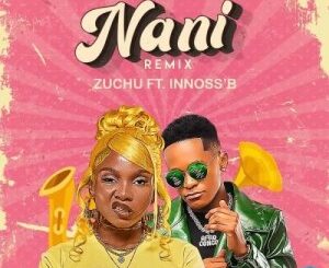 Zuchu – Nani (Remix) Ft. Innoss’ B