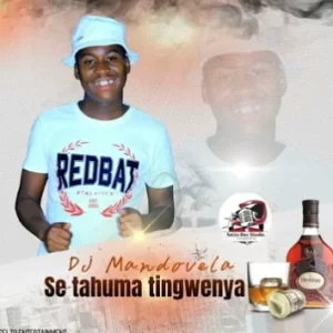 Dj Mandovela – Seta Huma Tingwenya