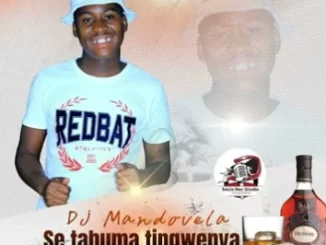 Dj Mandovela – Seta Huma Tingwenya