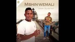 ALBUM: Mshinwemali – Intombi Ayinkw’imali