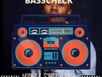 Ngobz & Sthipla Rsa – Basscheck (To Vigro Deep & Tyler ICU)