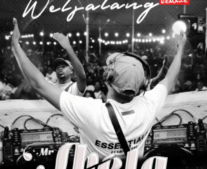 Mr Thela – Wetsalang Remake