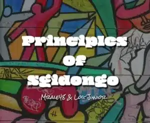 Mrale48 & Log Junior – Principals Of Sgidongo
