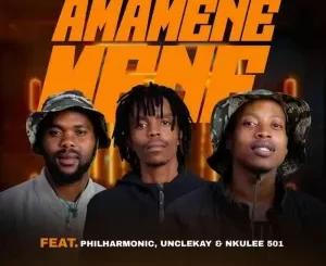 AmaQhawe – Amamenemene ft Philharmonic, UncleKay & Nkulee501