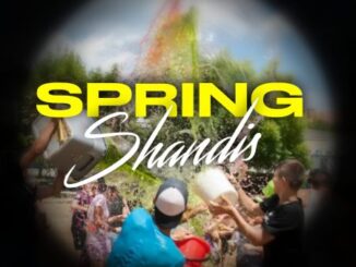 DJ Ace – Spring Shandis (Amapiano Mix 2023)