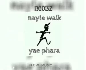 Ngobz – Nayle Walk Revisit (To Tyler Icu, Nandipha 808 & Ceeka) ft Snyper Reloaded, Youngmusiq & Sthipla Rsa