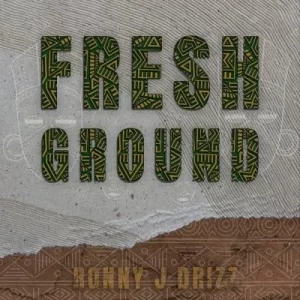 Ronny J Drizz – Umshiso ft Q-Mark, Slenda Dee & Konkesinamile