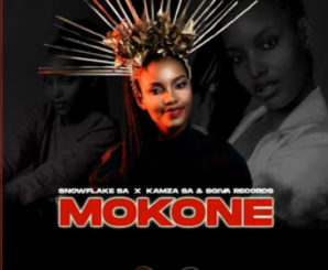 SnowFlake The Vocalist – ‎Mokone ft KaMza SA & Sgiva Record