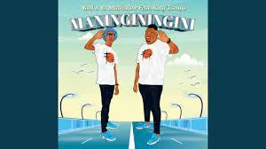 Vanhu Va MtakaRoW – Maninginingini Ft. King Tsonga