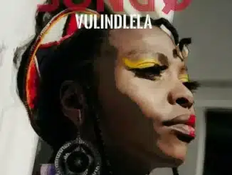 SONGØ – Vulindlela (Original Mix)
