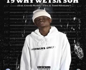 Sizwe Nineteen – 19 Why Wetsa Soh ft. GreedyMeddie, Pitsy & Tumi Sdomane