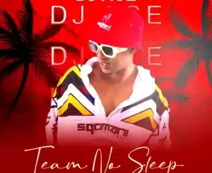 ALBUM: DJ Ace – Team No Sleep