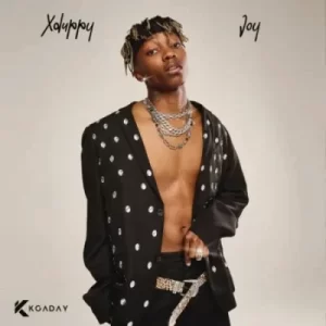 ALBUM: XDuppy – Joy