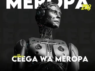 Ceega – Meropa 208 (House Music Is Life Itself)