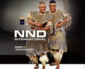 ALBUM: NND International – Amanz’Esdumbu