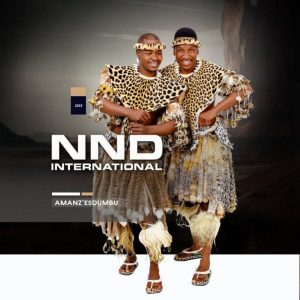 ALBUM: NND International – Amanz’Esdumbu