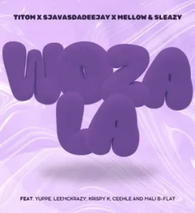 TitoM – Woza La Ft. SjavasDaDeejay, Mellow, Sleazy, Yuppe & LeeMcKrazy