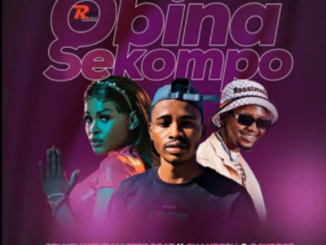 071 Nelly The MasterBeat – O Bina Sekompo ft Shandesh & Bayor97