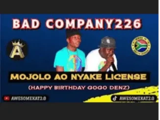 BAD COMPANY 226 – MOJOLO AO NYAKE LICENSE [HBD GOGO DENZ] NEW 45