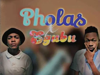 LowbassDjy & Ndibo – Sgubu & Pholas Episode 001