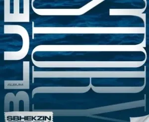 ALBUM: Sbhekzin Terry – Blue Story