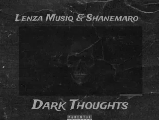 Lenza Musiq & Shanemaro – Dark Thoughts