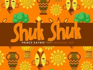 Prince Kaybee – Shuk Shuk ft. Natasha MD