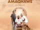 ALBUM: Amaqhawe – Impumelelo