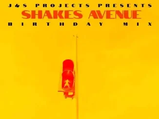 J&S Projects – Shakes Avenue Birthday Mix