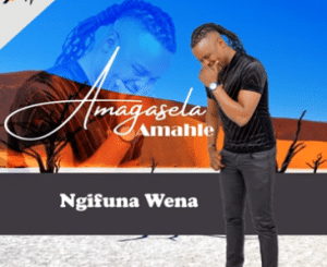 EP: Stabhilithi – Amagasela Amahle (Ngifuna Wena)