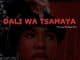 Toxic Soul & Angie West – Dali Wa Tsamaya ft Musa De Guitarist & Legit Folks MusiQ