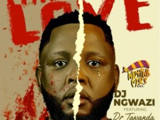 DJ Ngwazi – Fake Love ft Dr Tawanda & Nelcy-B