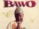 B33kay SA – Bawo Ft. Sipho Magudulela, Cnethemba Gonelo, DJ 2k & Mr Lii