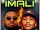 Kraizie & Emtee – Imali