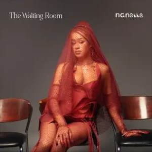 Nanette – The Waiting Room