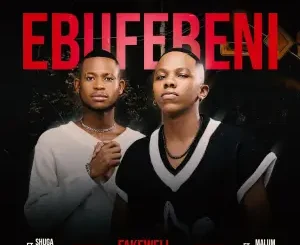 Fake’well – Ebufebeni Ft. Malume.hypeman & Shuga Mizer