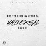 Protee & Deejay Zebra SA – All In One 